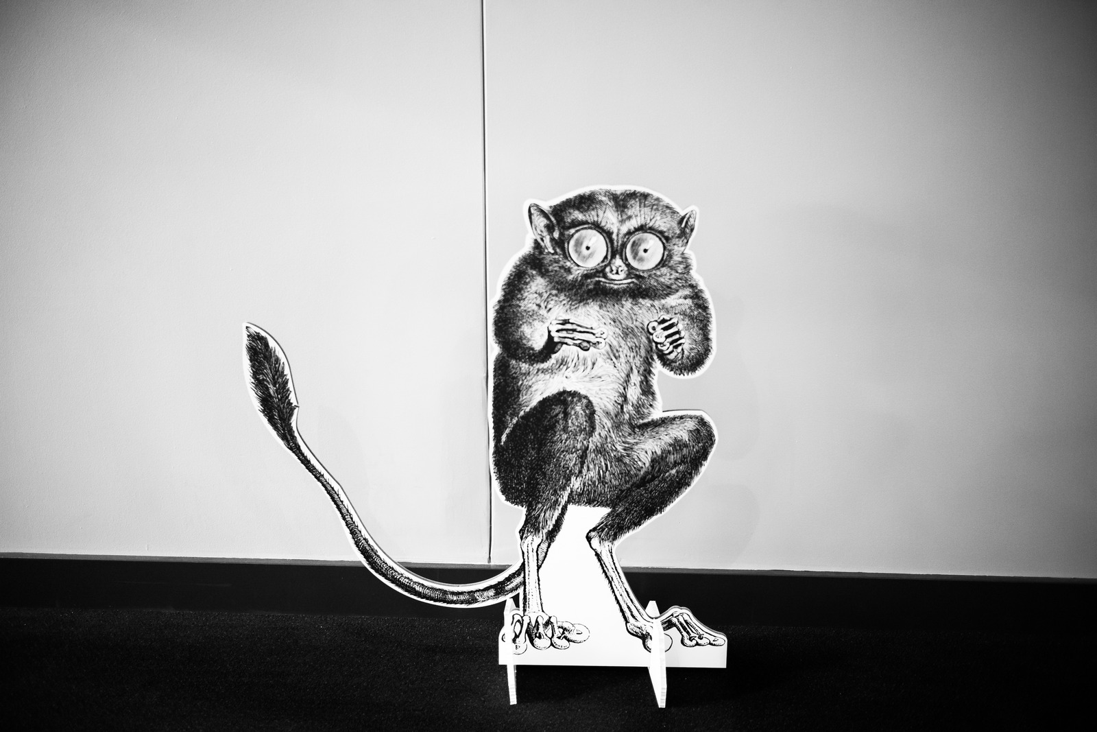 Eccentric Shadowplay