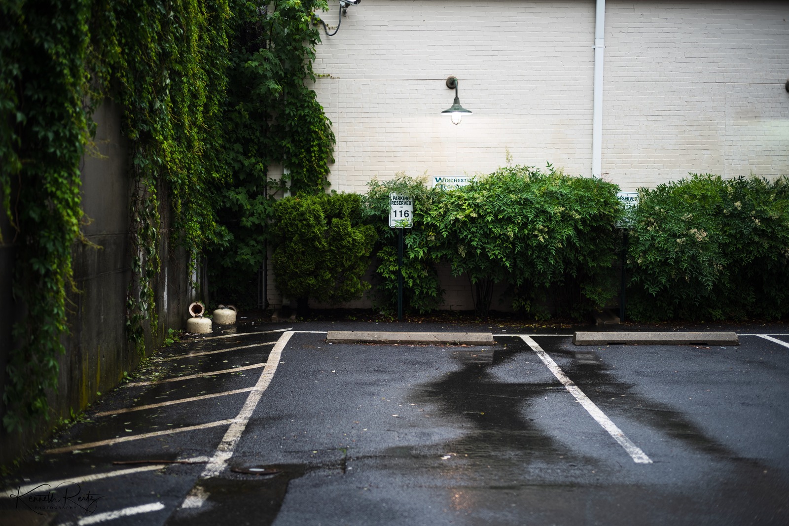 Quiet Respite in the Rain