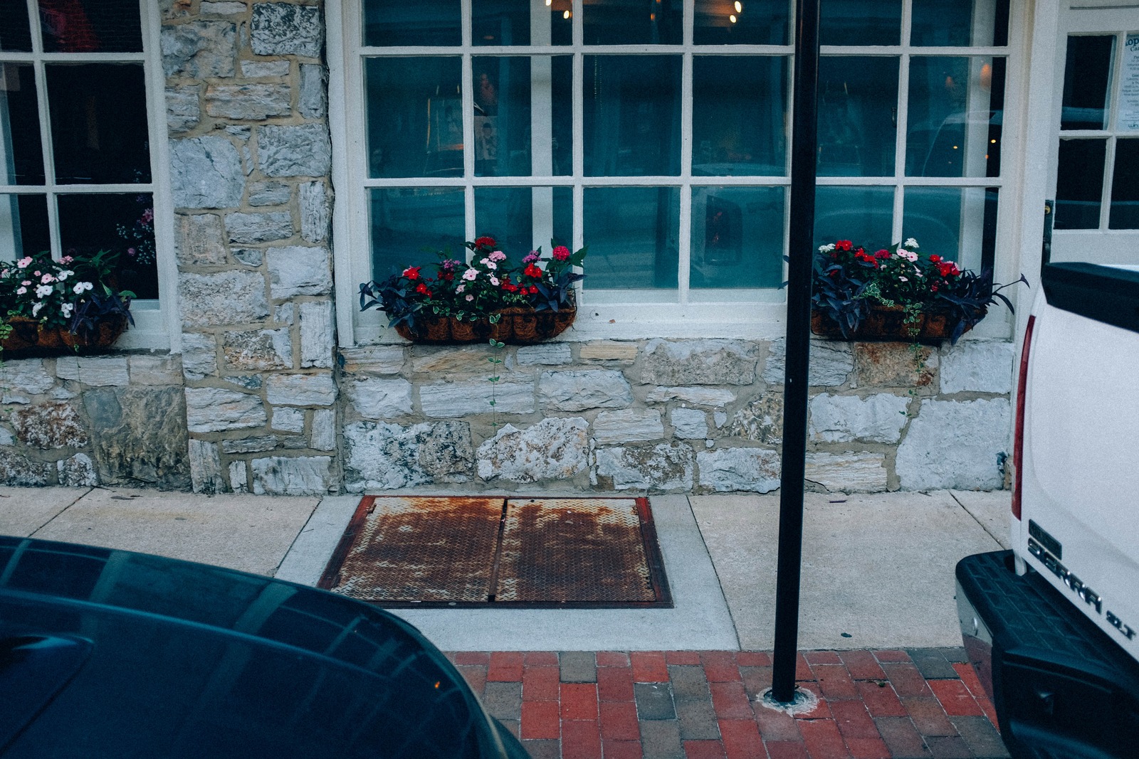 Floral Serenity by the Stone Wall