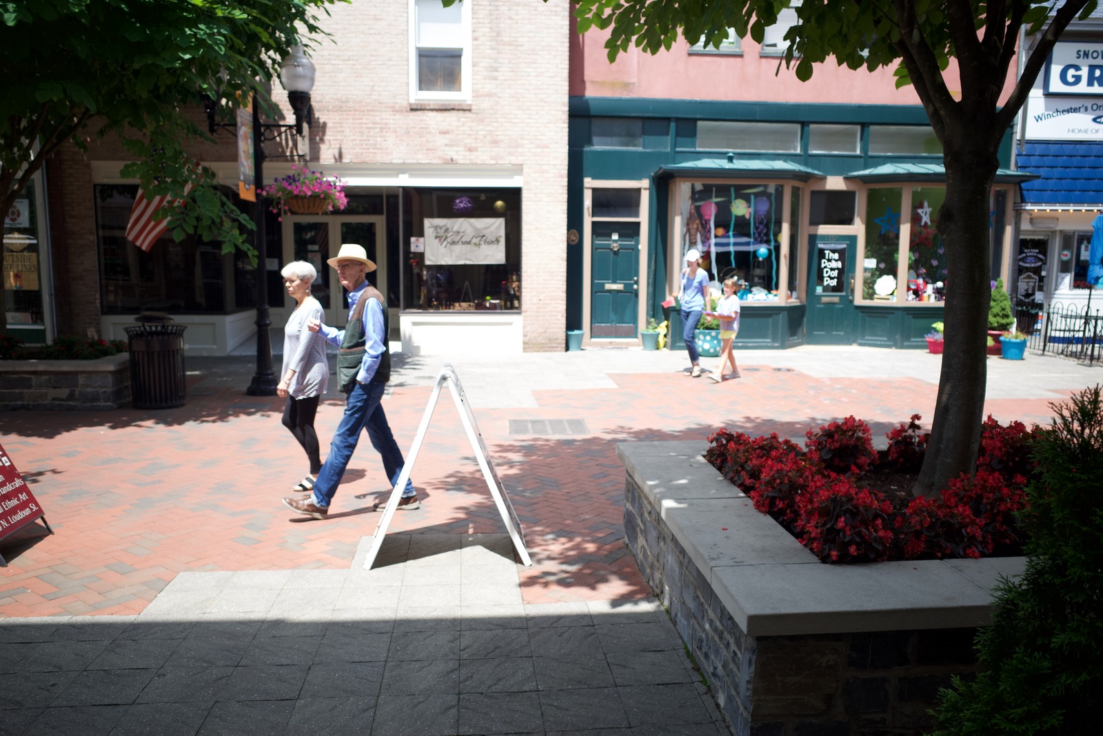 Casual Stroll on a Sunny Day