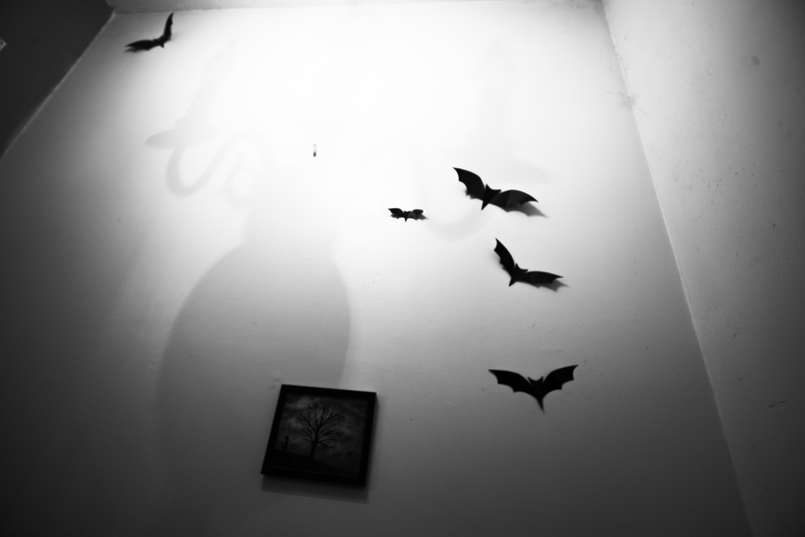 Shadows of the Night