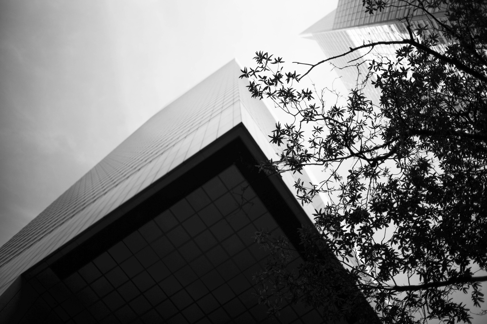 Urban Nature Contrast