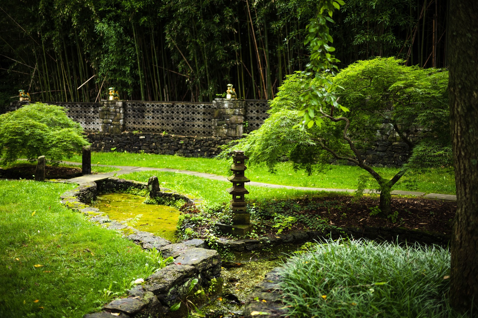 Tranquil Garden Serenity