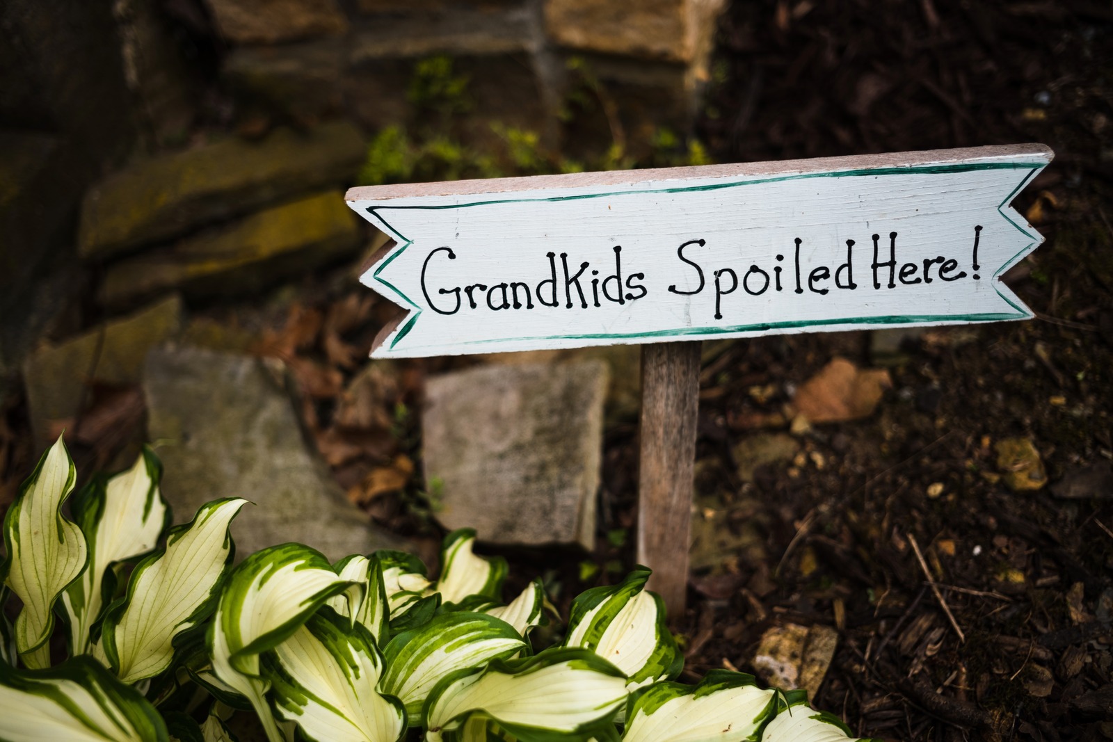 Whimsy in the Garden