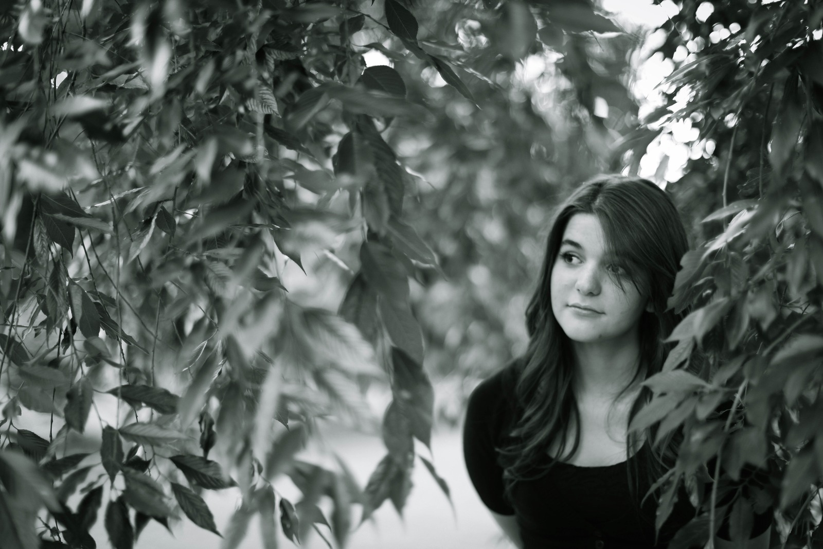 Whispers Among Leaves