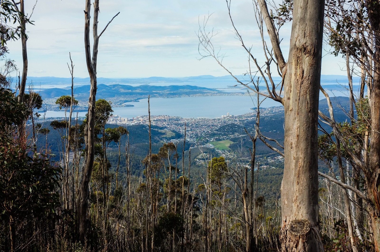 Mountain View Overlooking Town