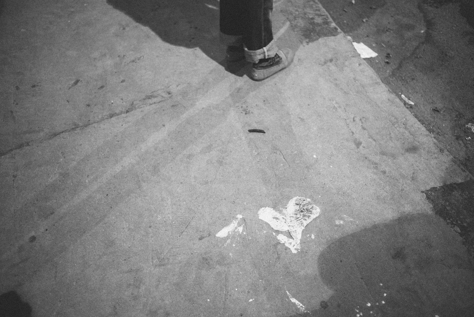 Whispers of Love on Concrete