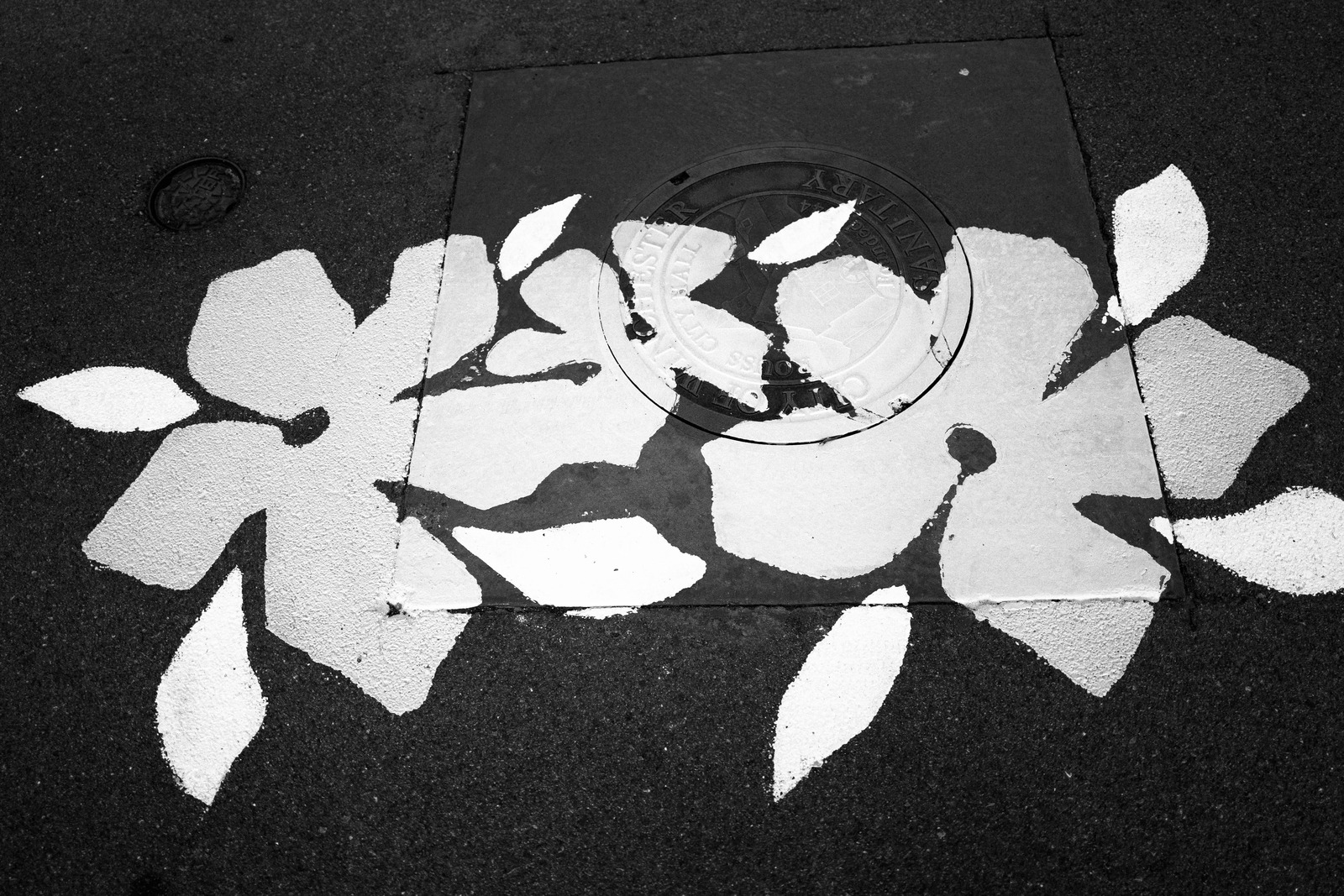 Urban Floral Contrast