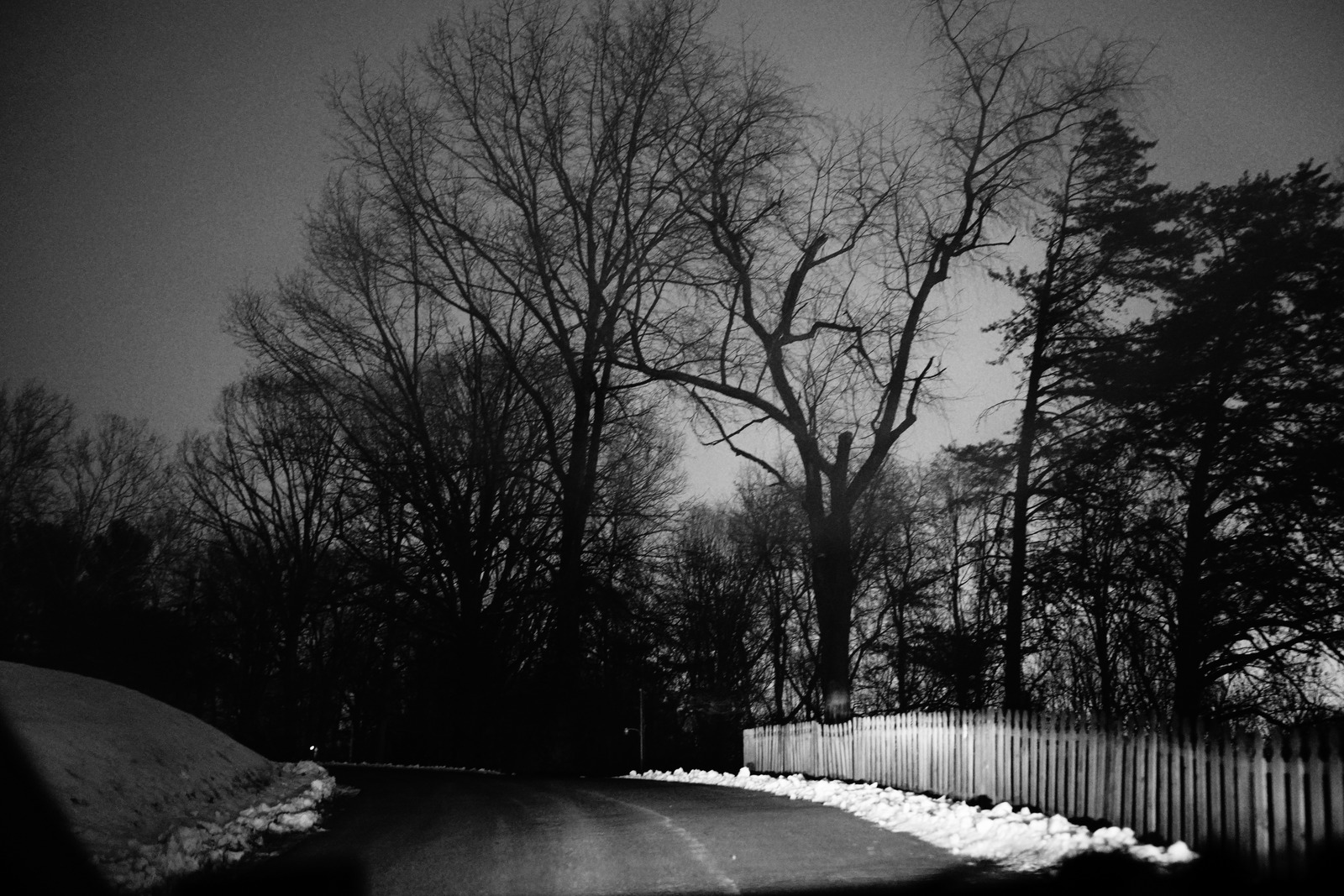 Eerie Winter Twilight