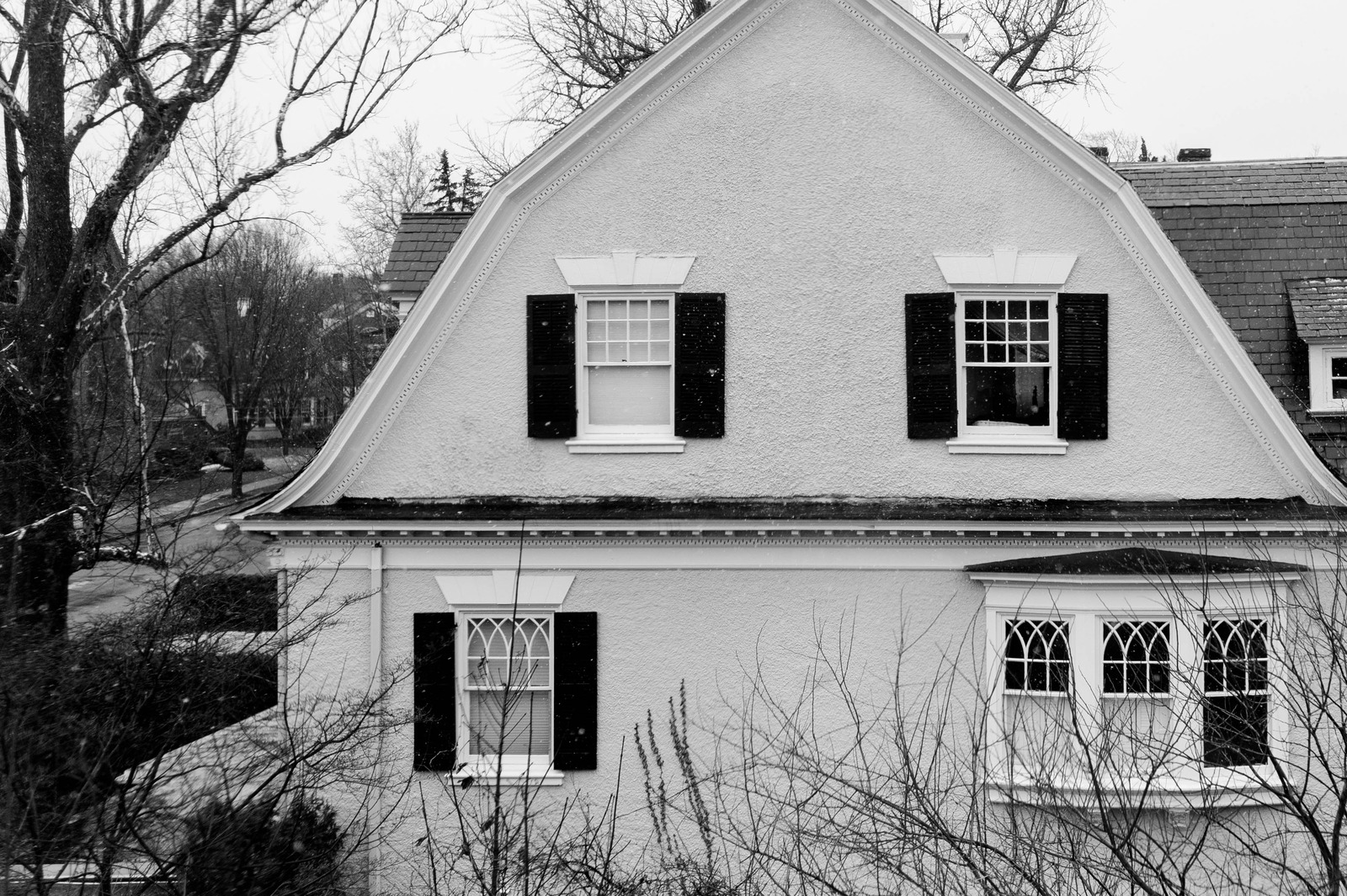 Glimpse of a Silent Winter