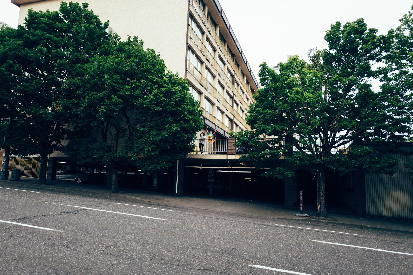 Urban Life and Nature