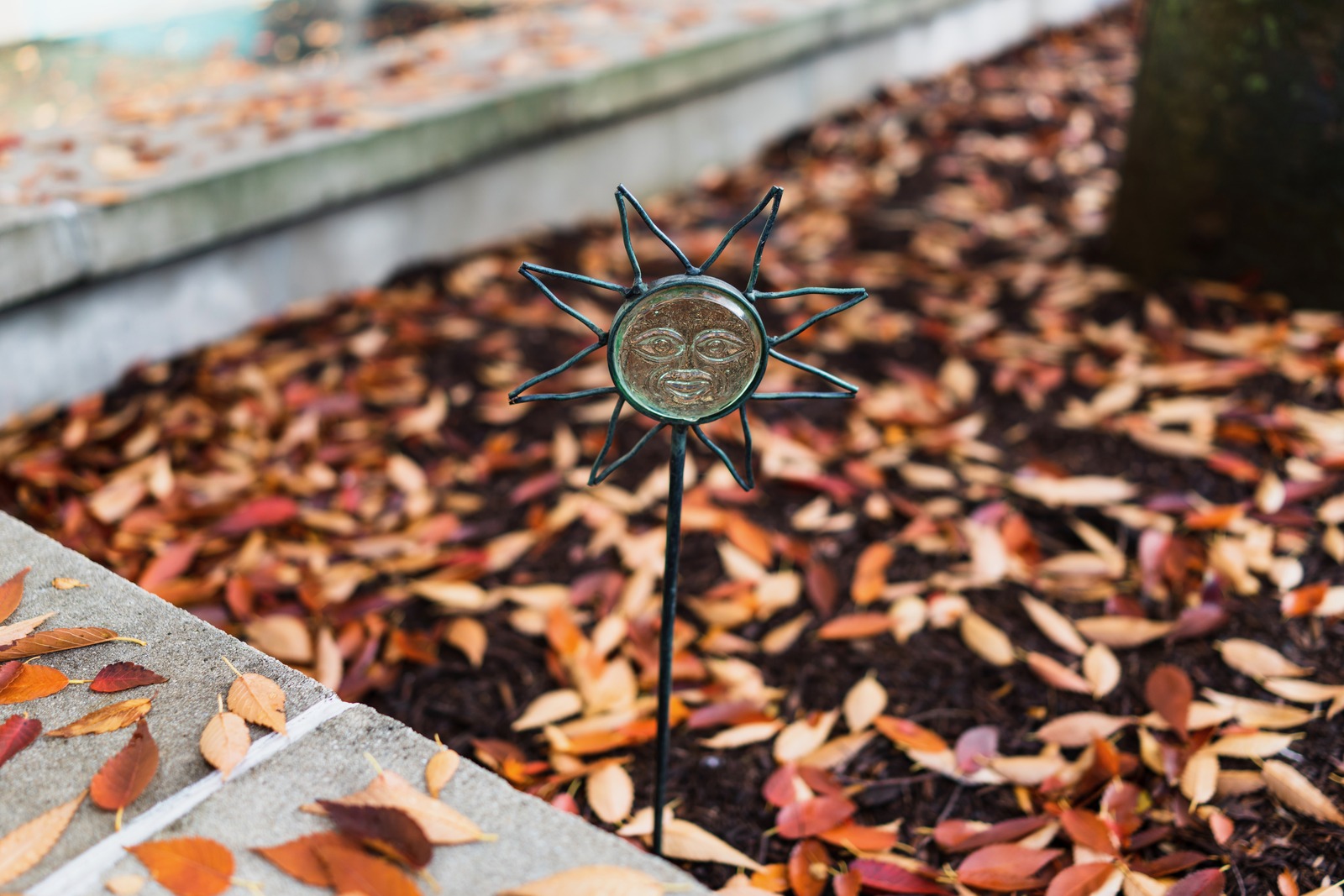 Golden Sun in Autumn Leaves