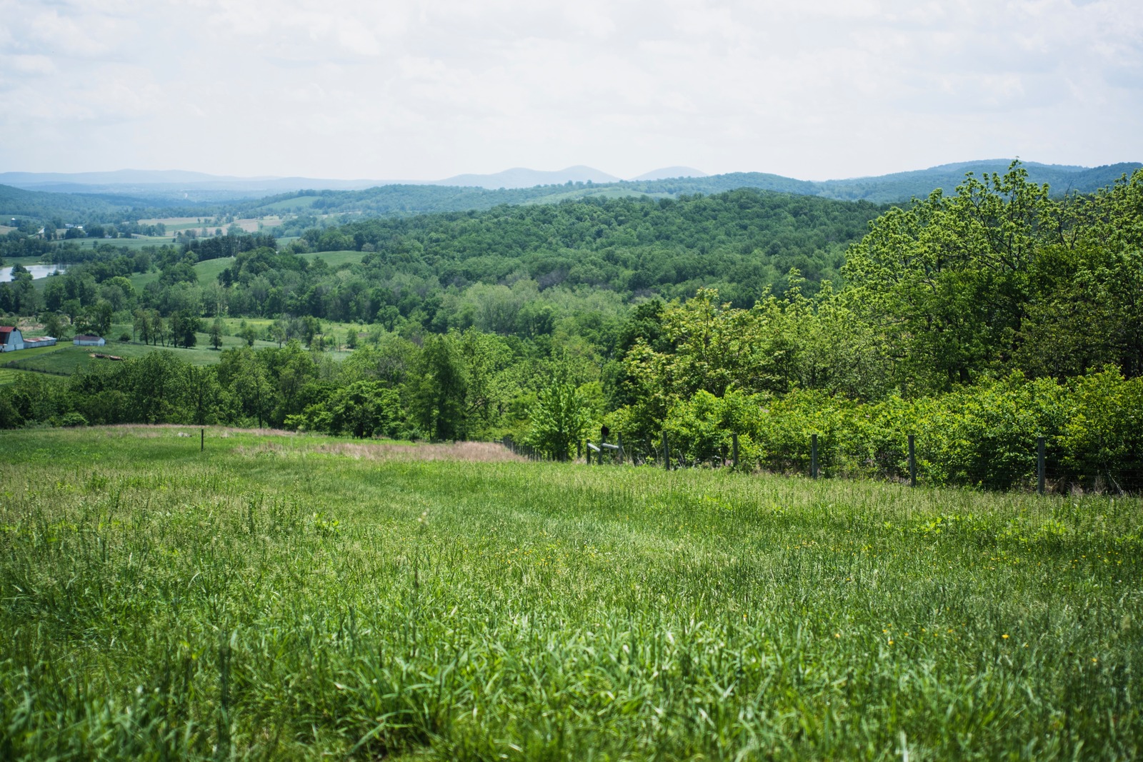 Verdant Valley Vista