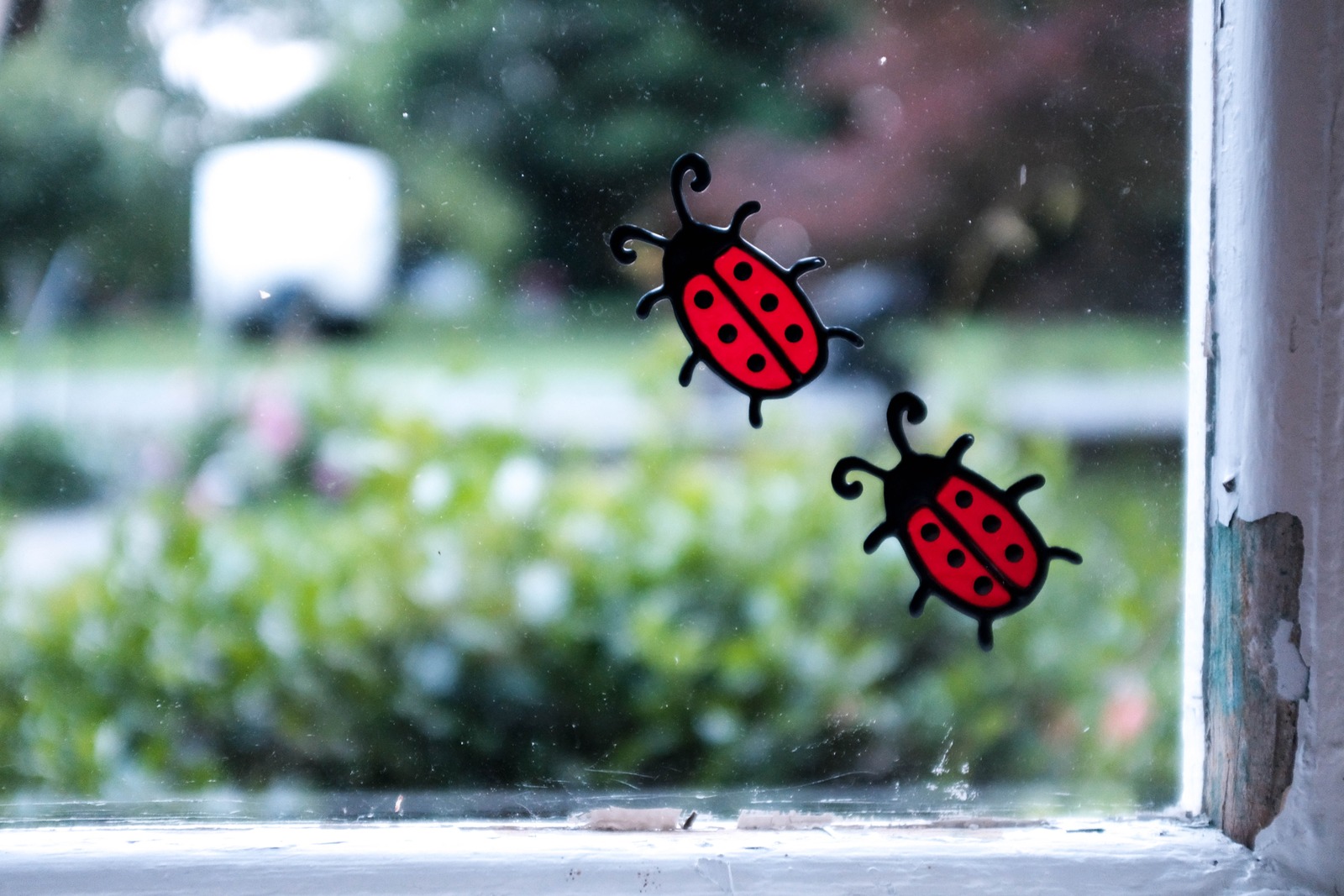 Window Bugs