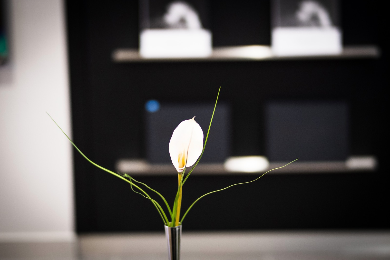 Minimalist Floral Elegance