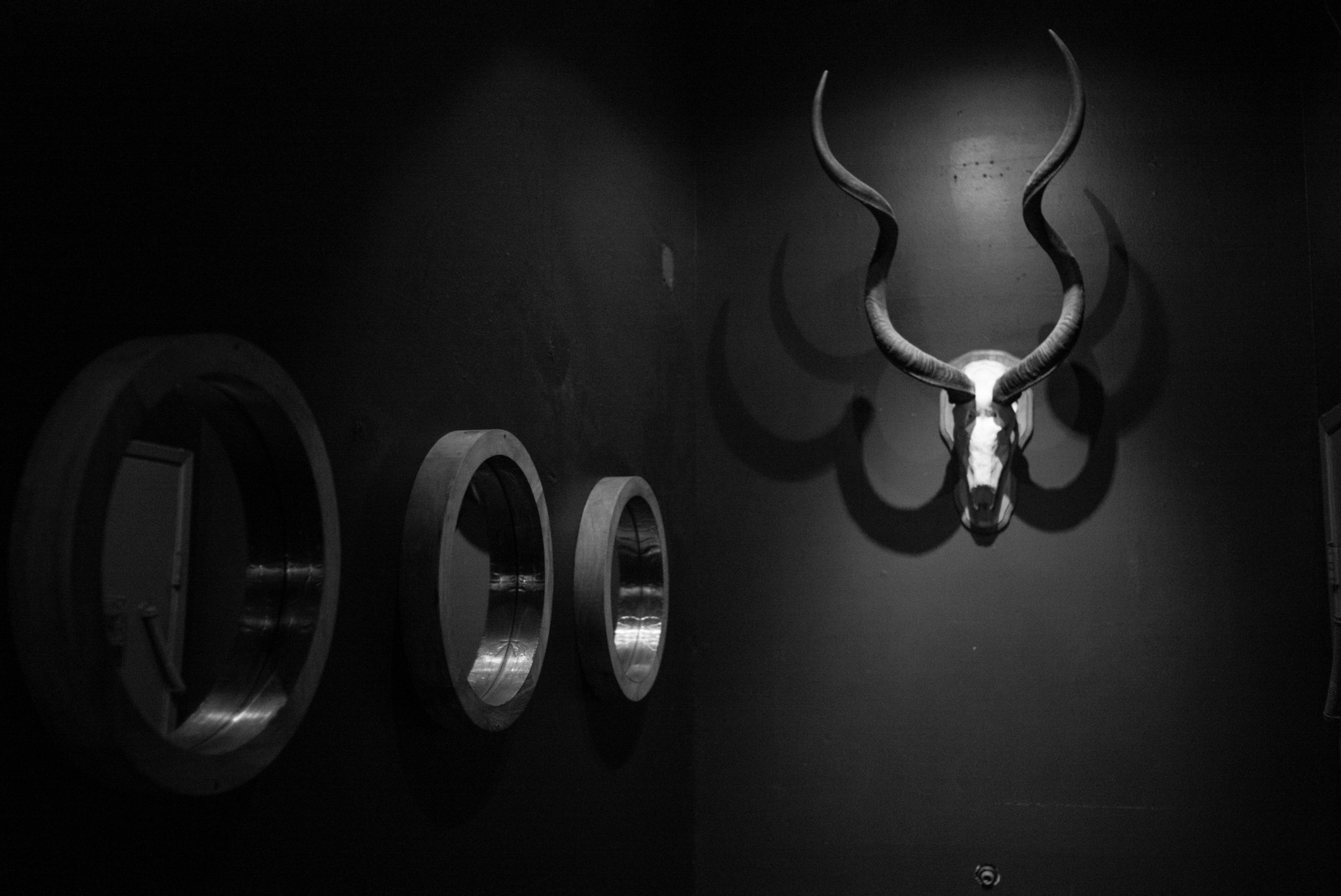 Eerie Elegance in Monochrome