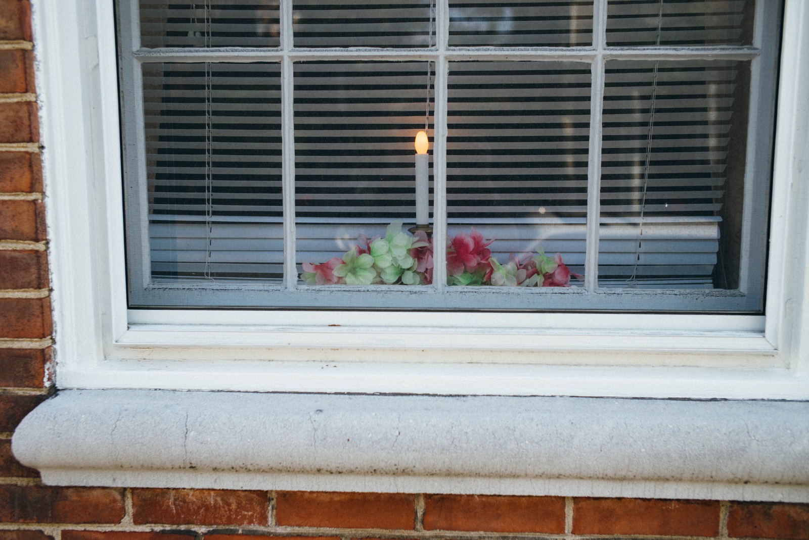 A Glimpse of Serenity