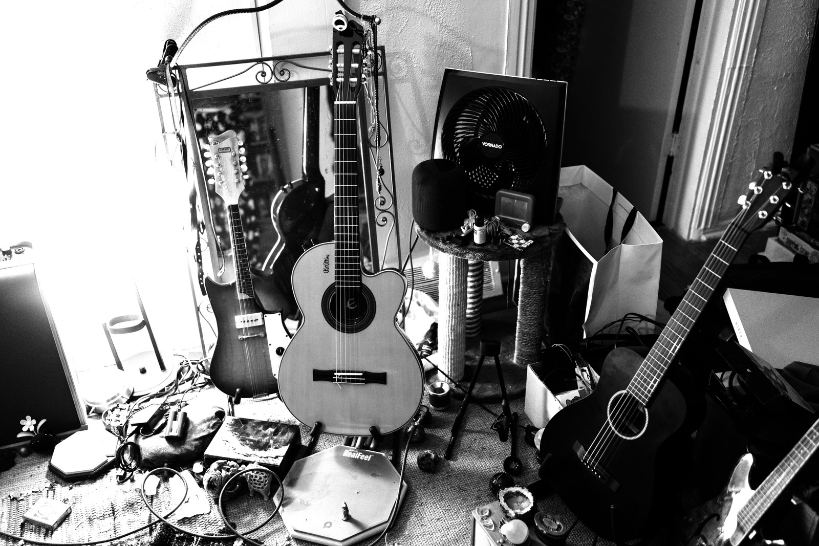 Melody Amongst Chaos