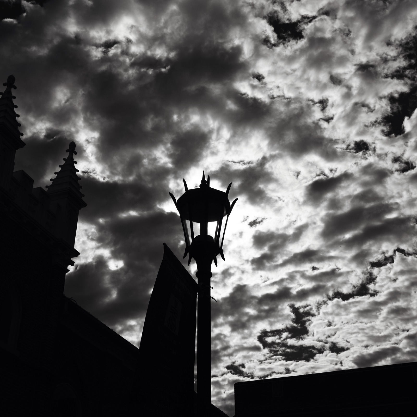 Silhouette Against a Stormy Sky