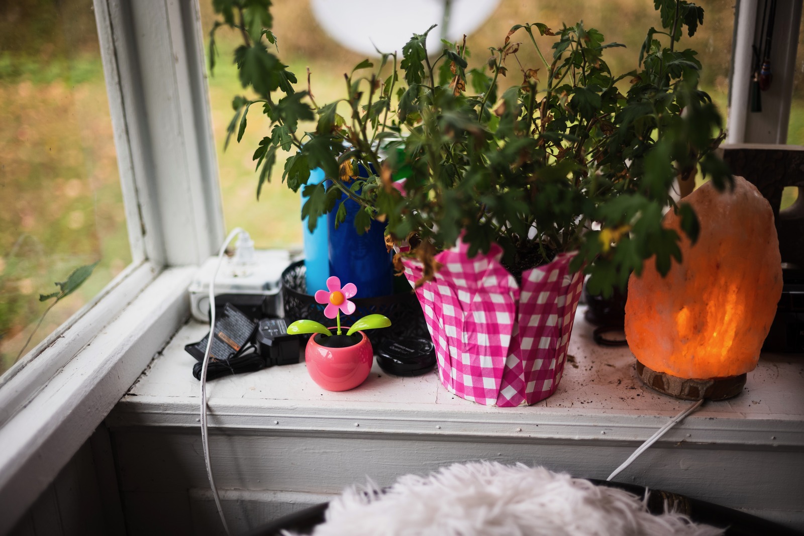 Cozy Windowsill Serenity