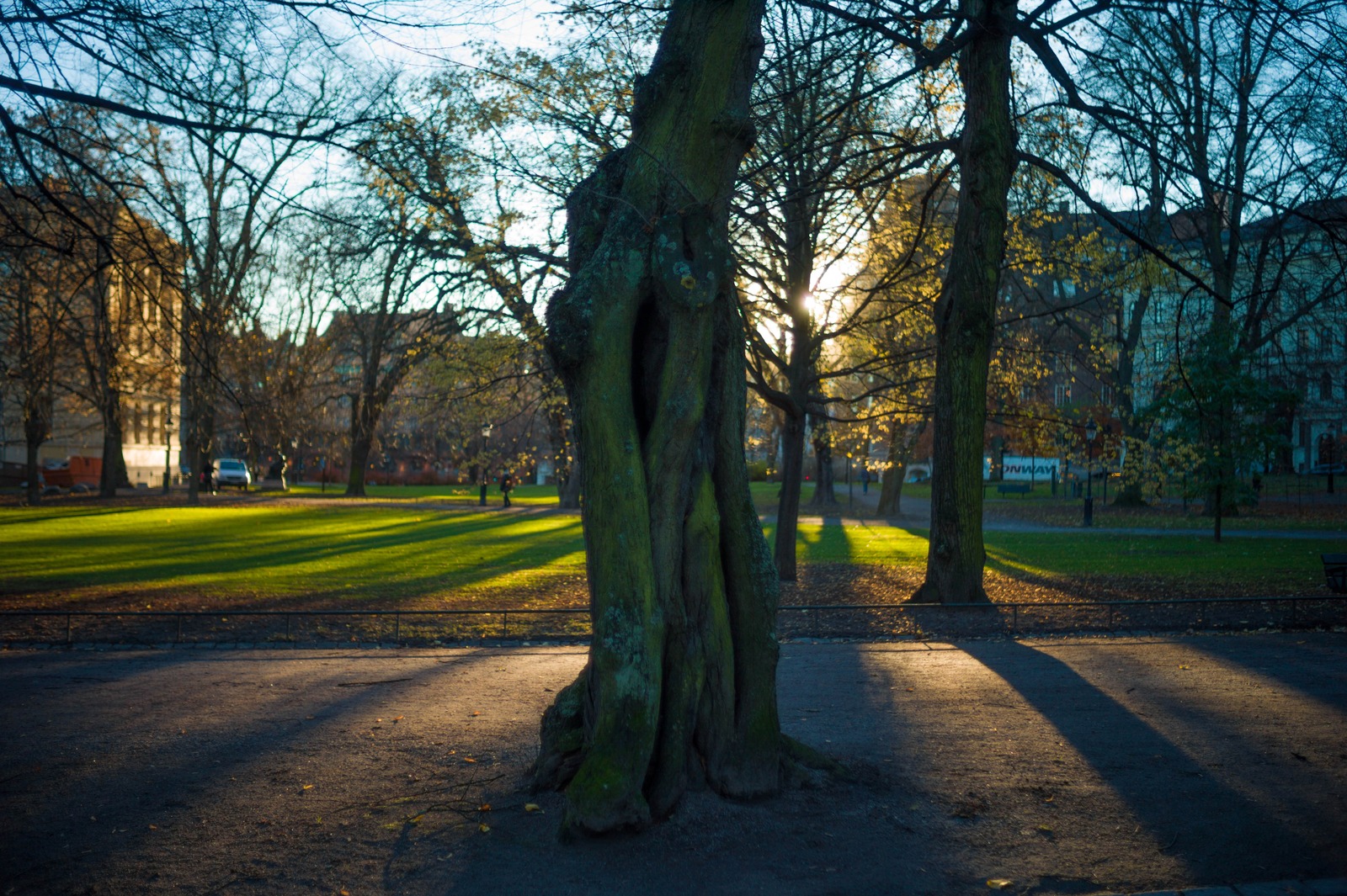 Whispers of an Autumn Evening
