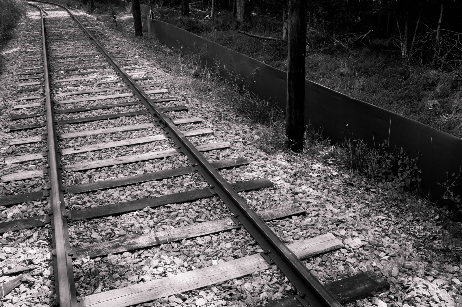 Whispers of Abandonment