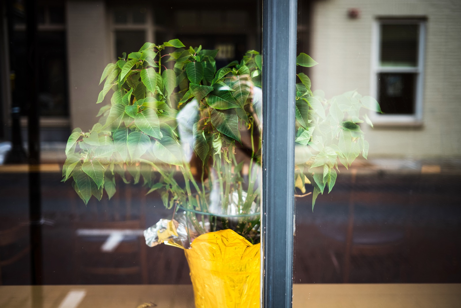 Emerging Through the Glass