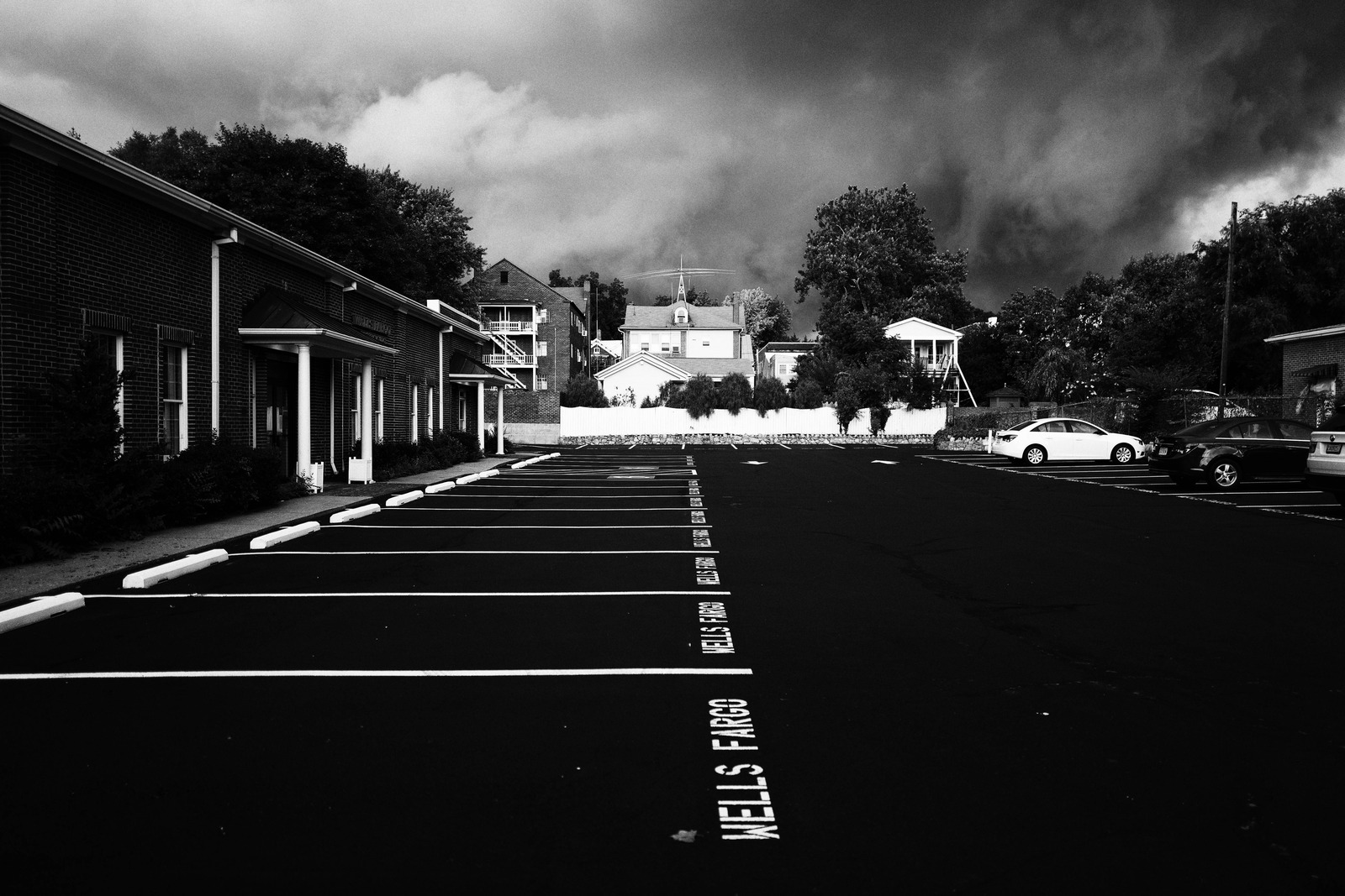 Silent Elegance of Reflection