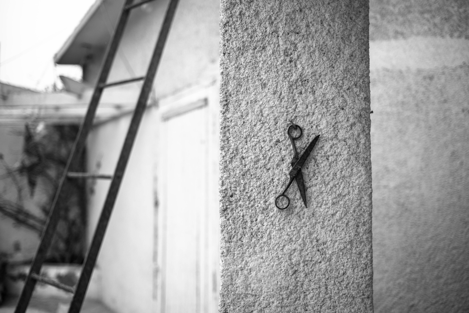 Silent Echoes of Abandonment