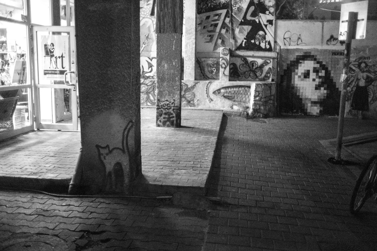 Urban Shadows at Night