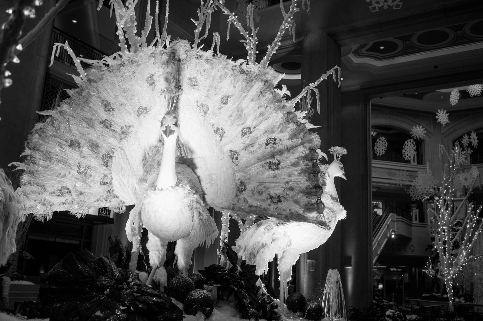 Majestic Winter Display