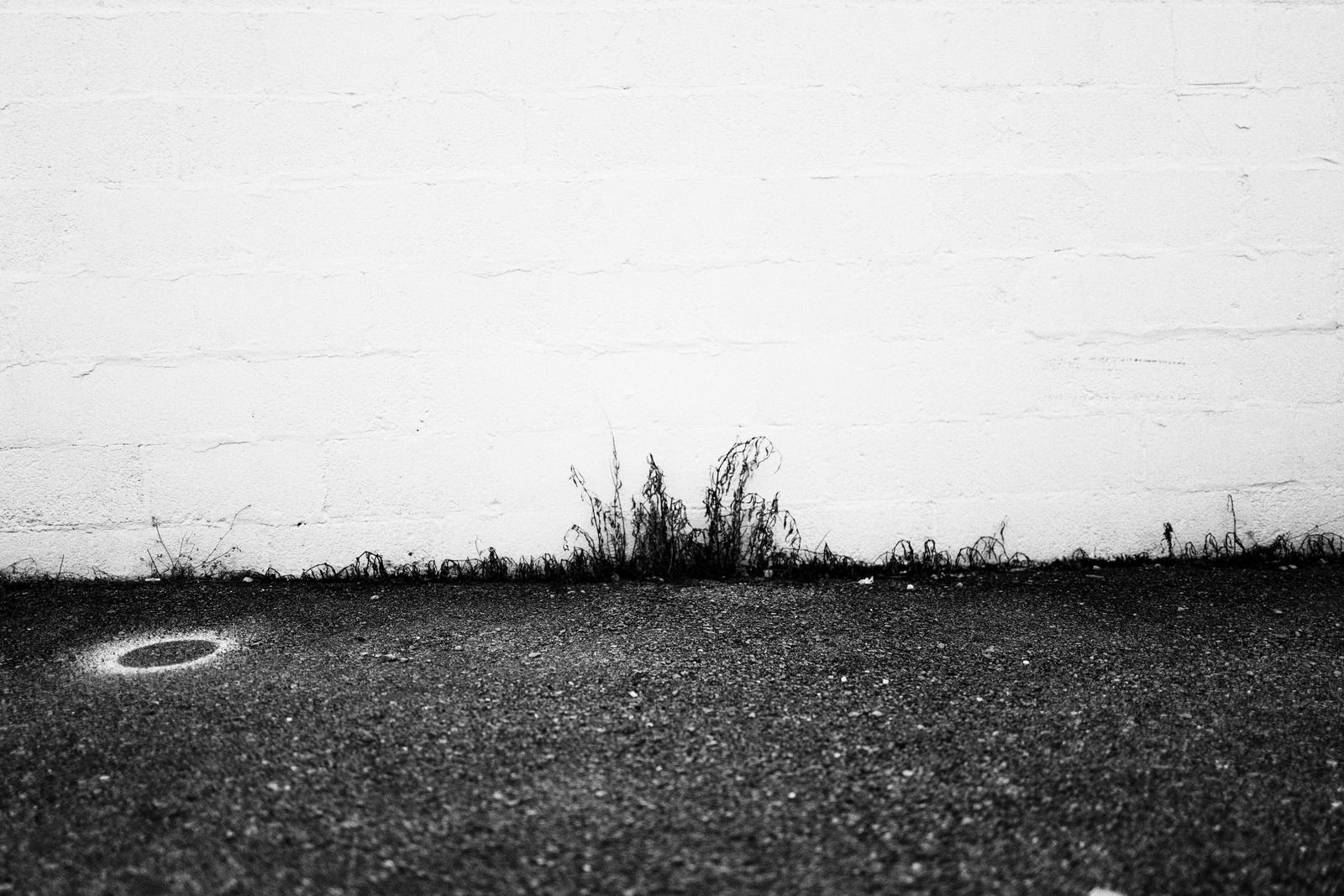 Whispers of Resilience