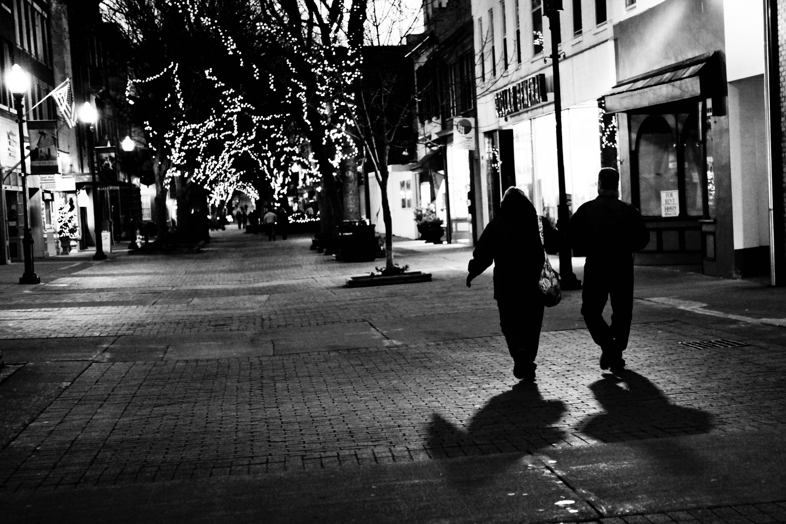 Stroll Through Shadows