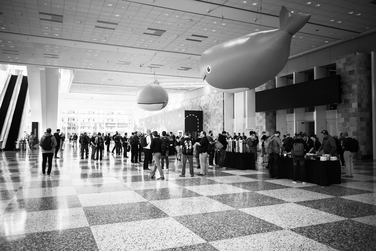 Whimsical Gathering Under Whales