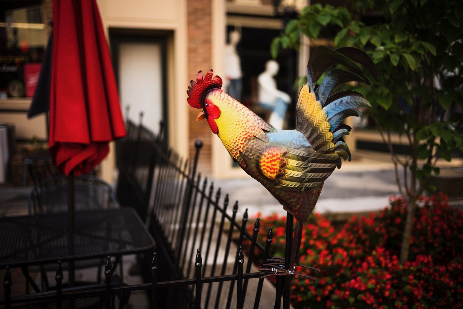 Whimsical Rooster Display