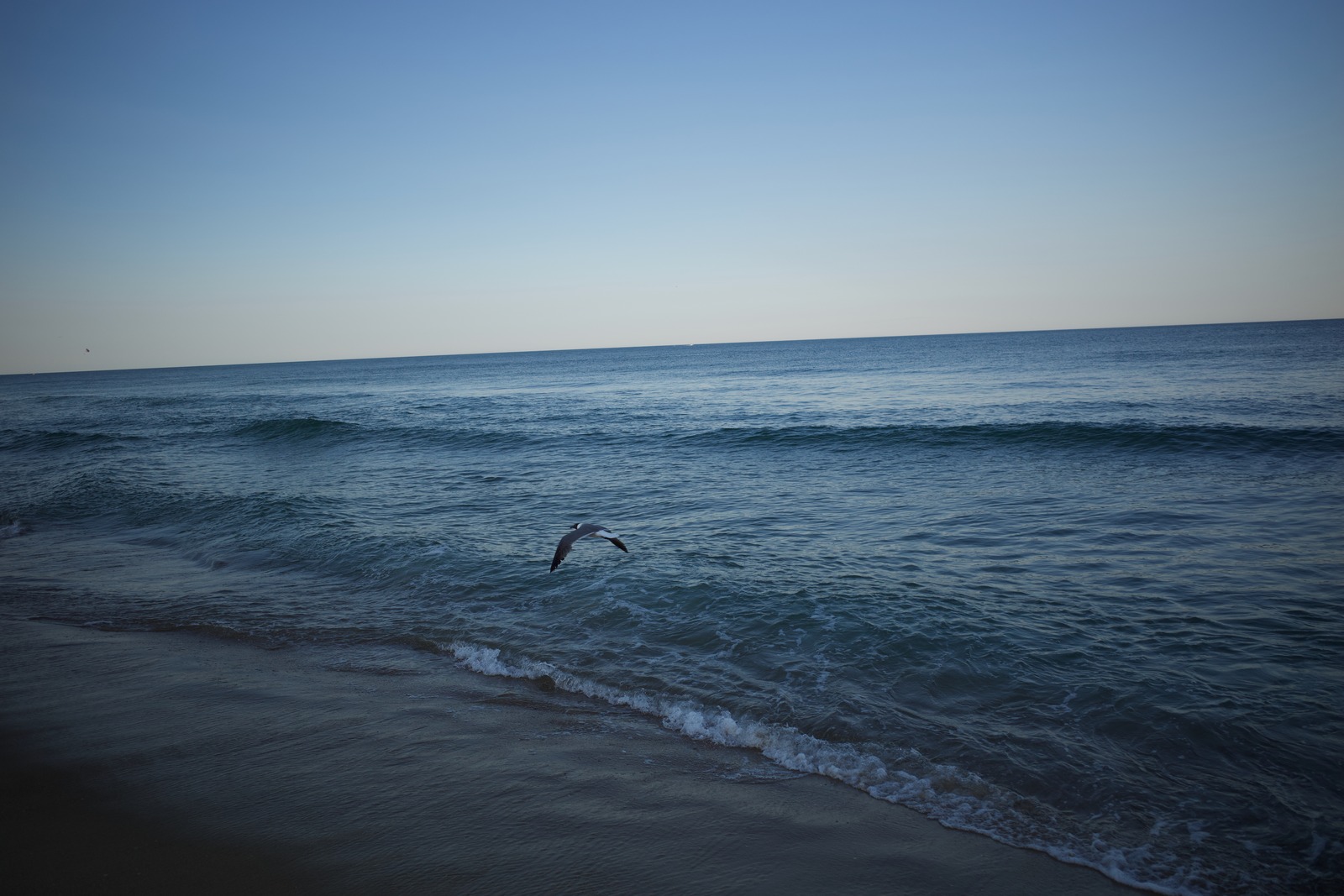 Serene Shoreline Escape