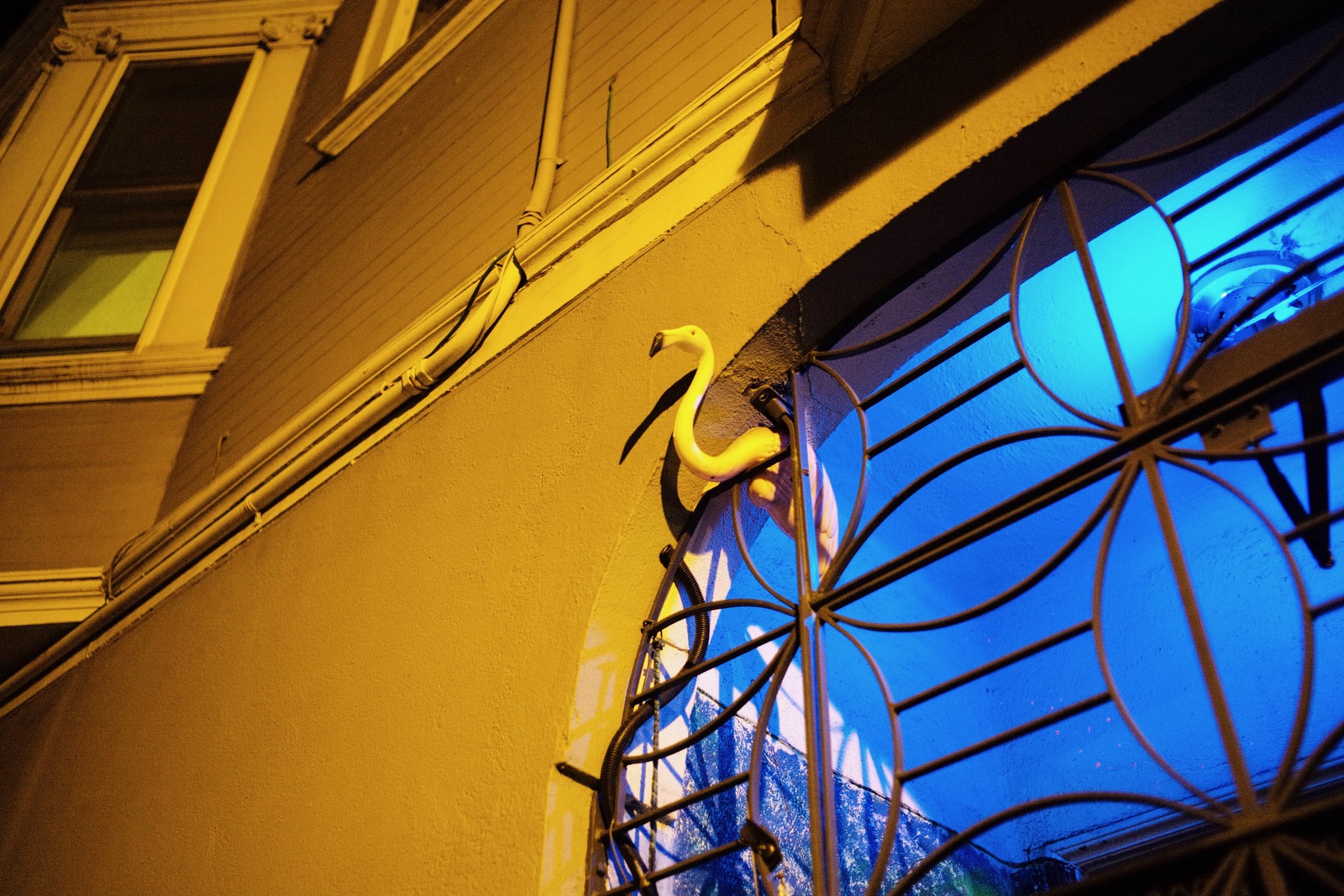 Neon Shadows and Curves