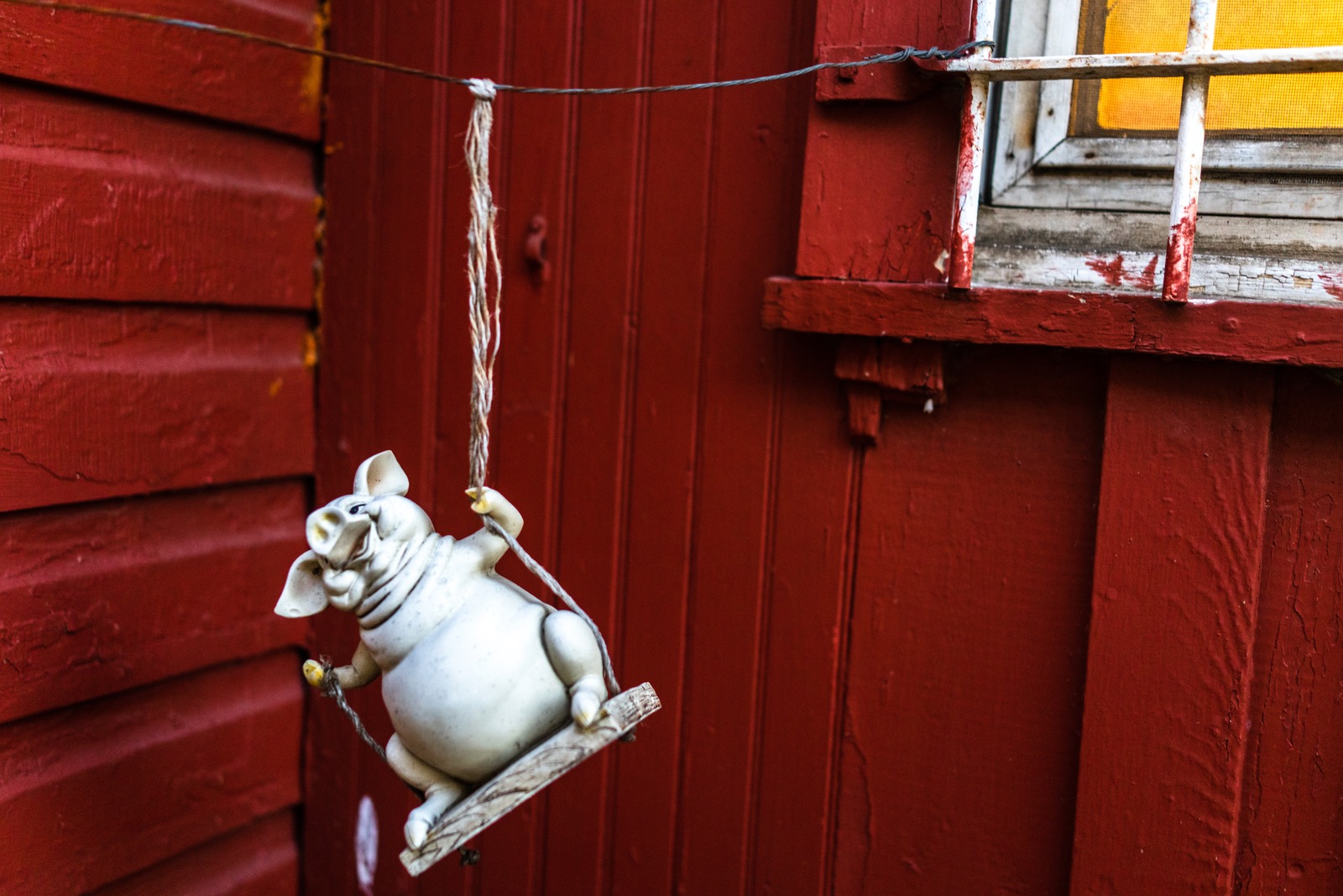 Whimsical Pig on a Swing