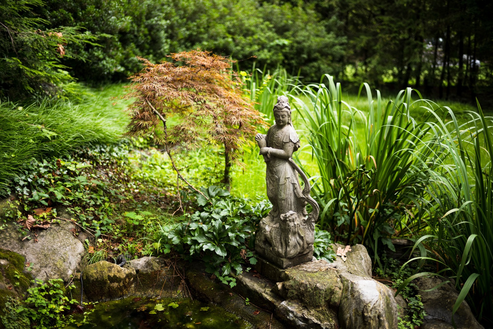 Whispers of Tranquility