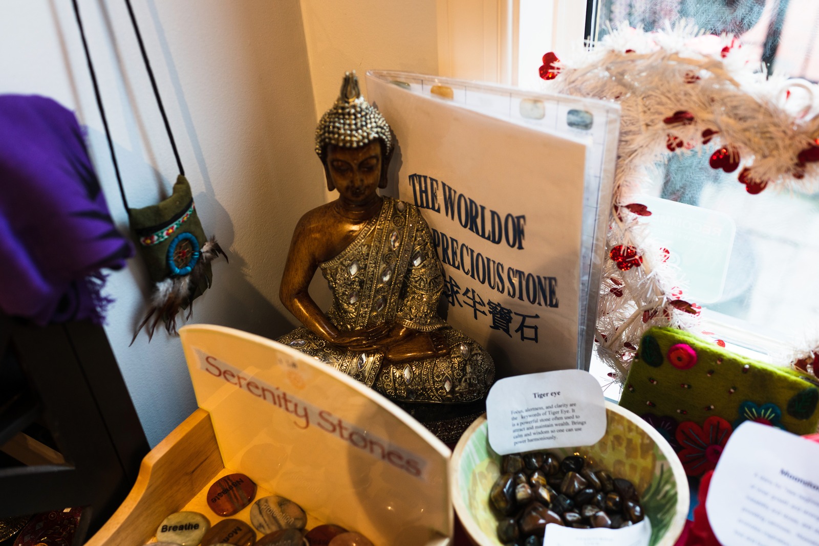 Calm Amidst Curiosities