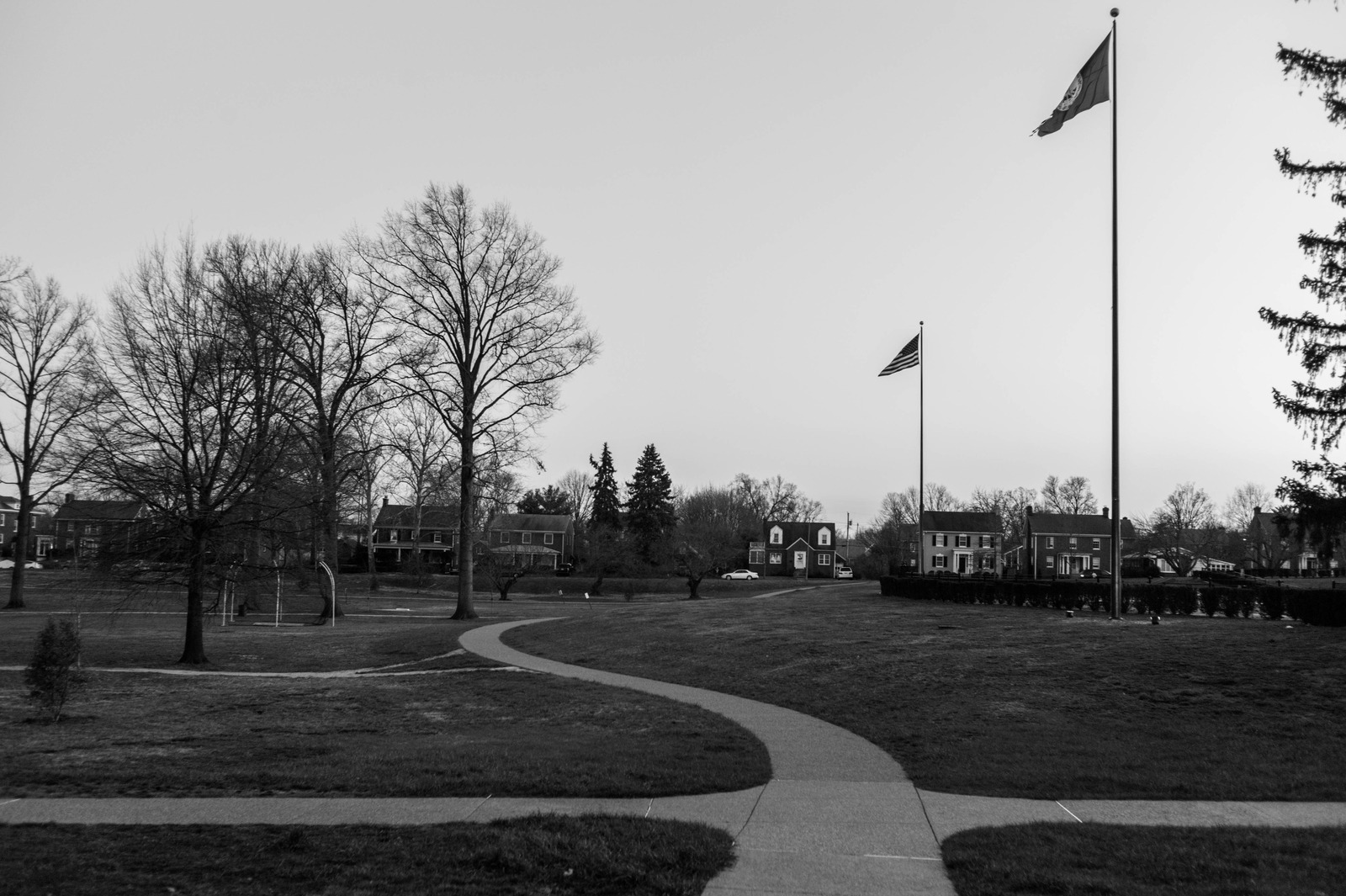 Quiet Path Through the Park