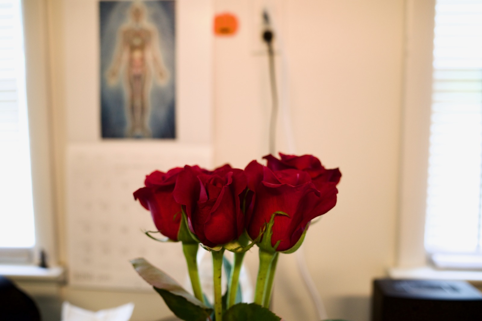 A Bouquet of Passion