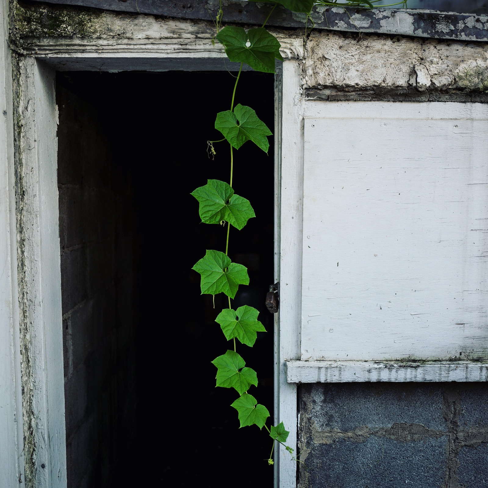 Renewal at the Threshold