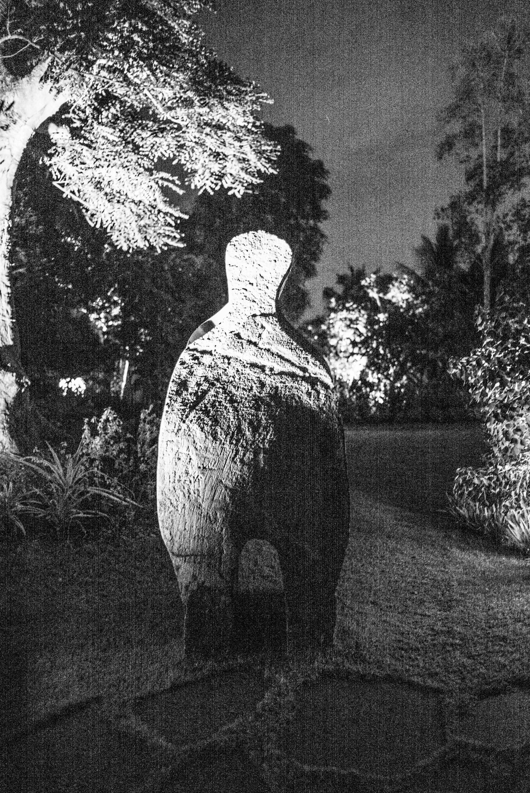 Mysterious Night Sculpture