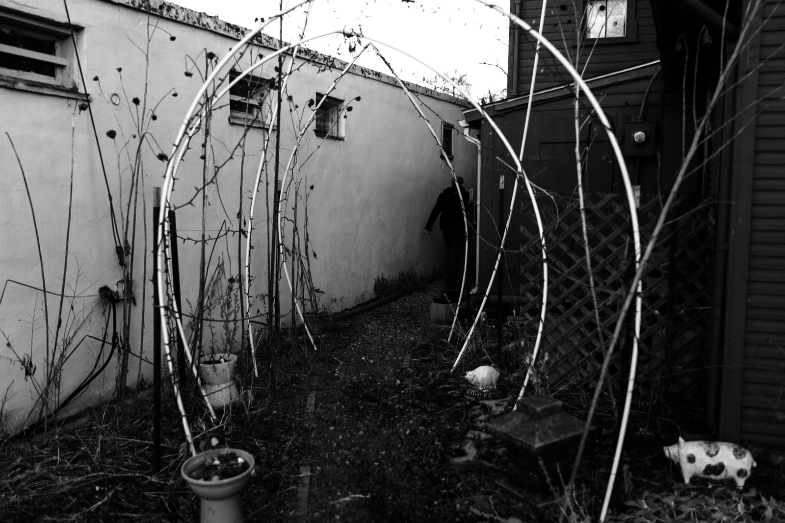 Whispers of Abandonment