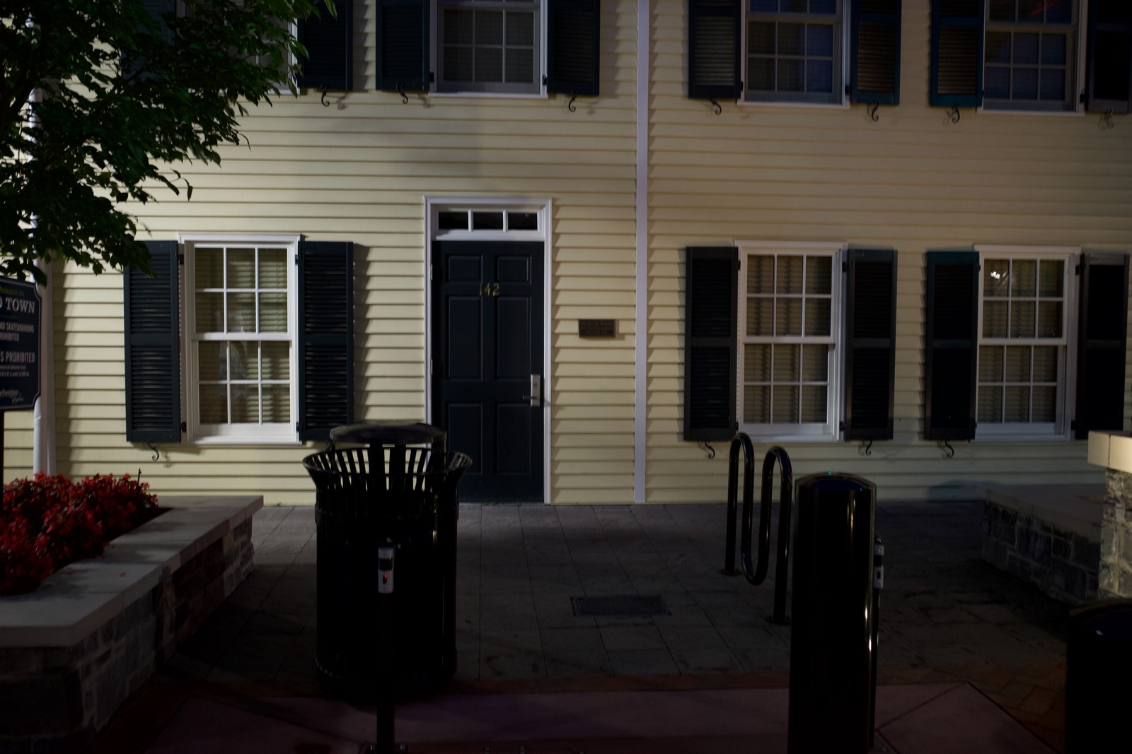 Quiet Evening Encounter