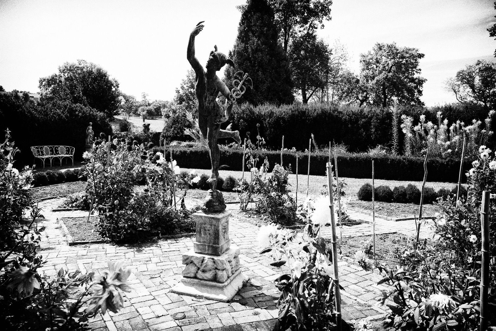 Dance of Shadow and Light