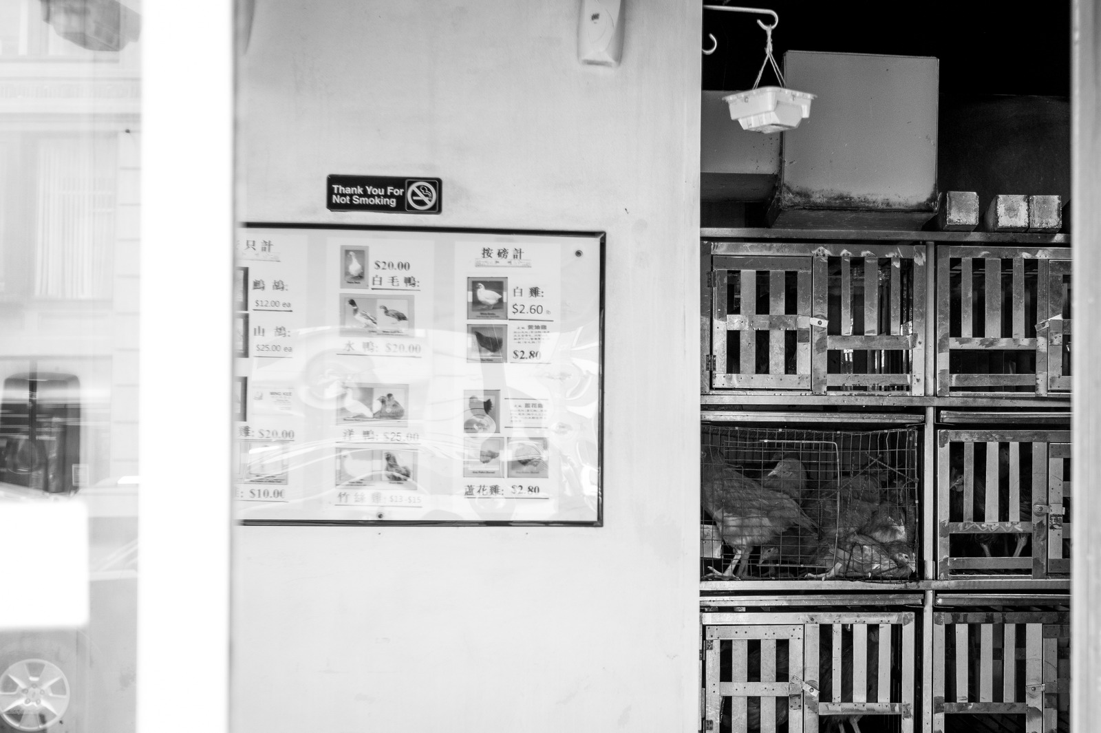 Urban Market Reflection