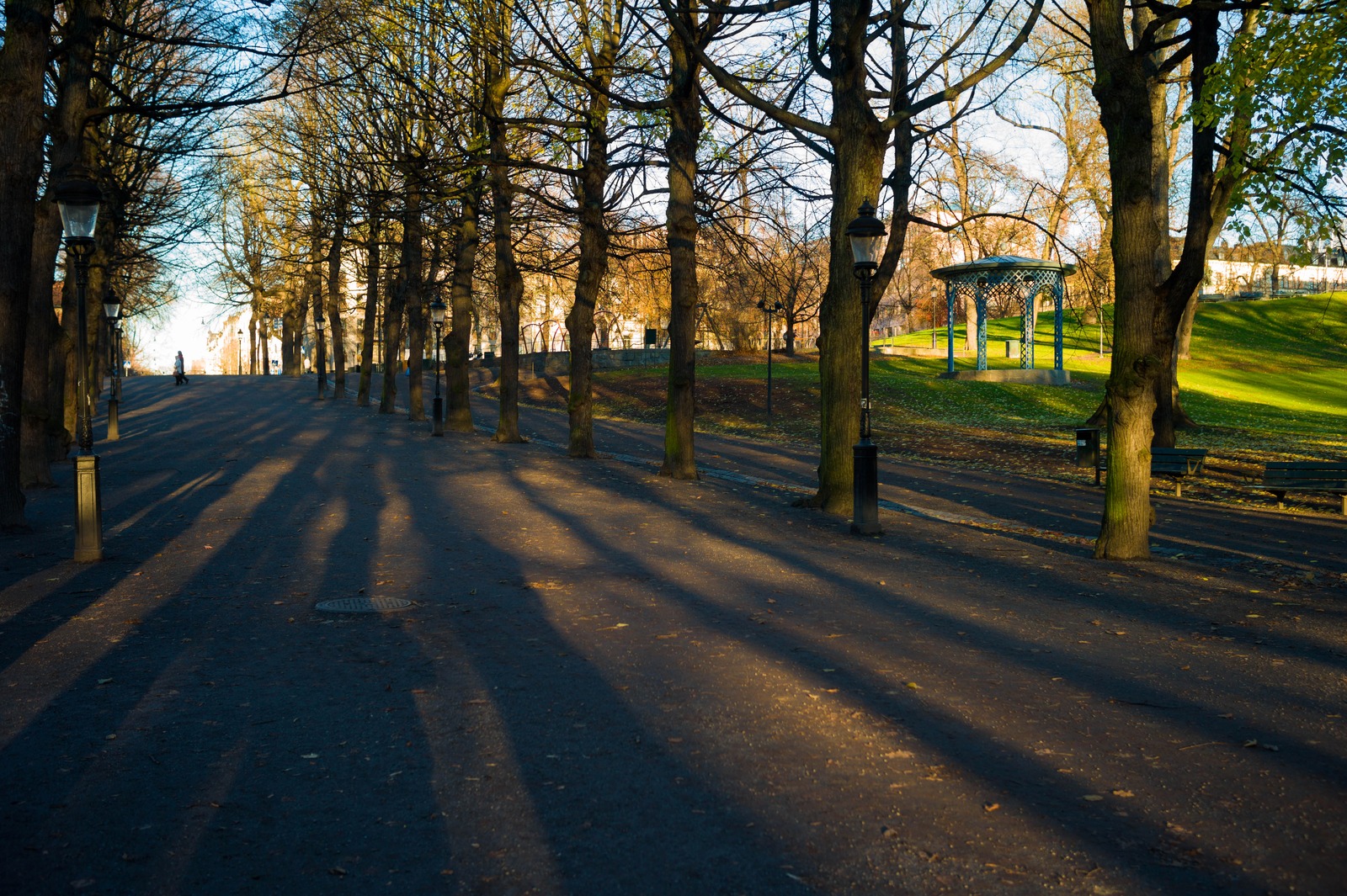 Serene Pathway in Autumn