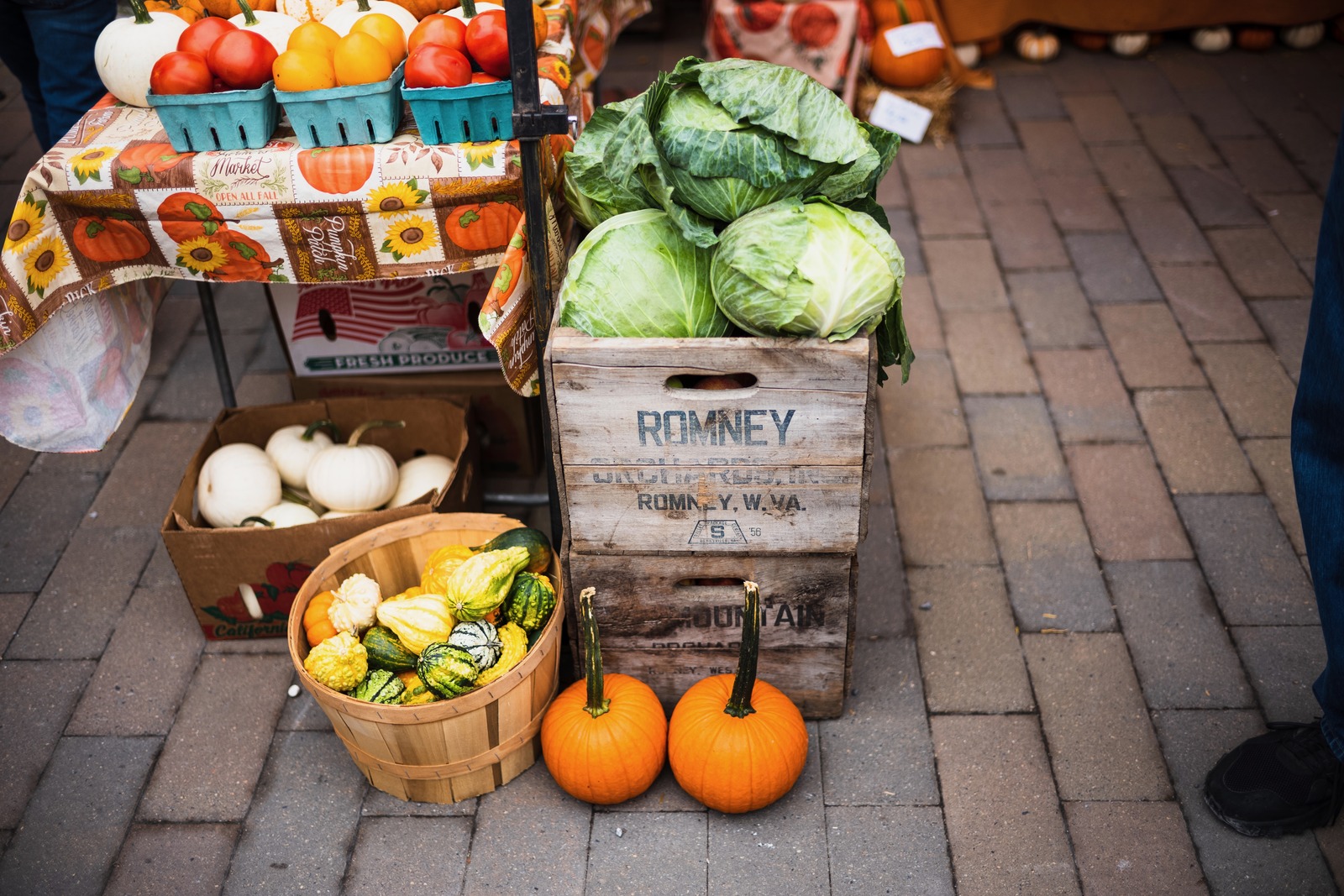Autumn Harvest Bounty
